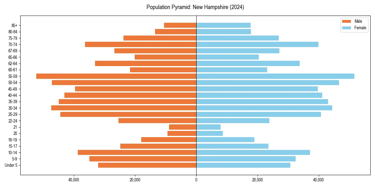 Population pyramid for 