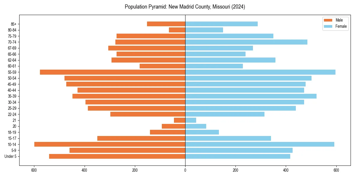 Population pyramid for 