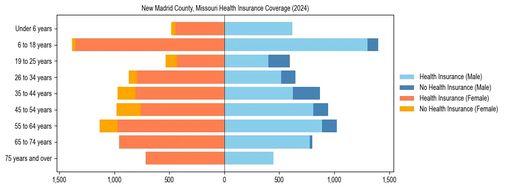 Health insurance pyramid for New Madrid County, Missouri