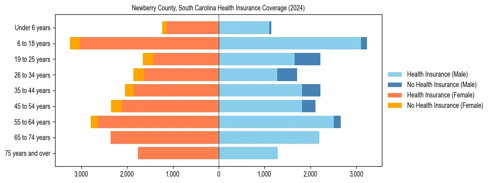 Health insurance pyramid for Newberry County, South Carolina