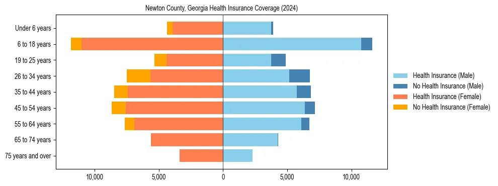 Health insurance pyramid for Newton County, Georgia