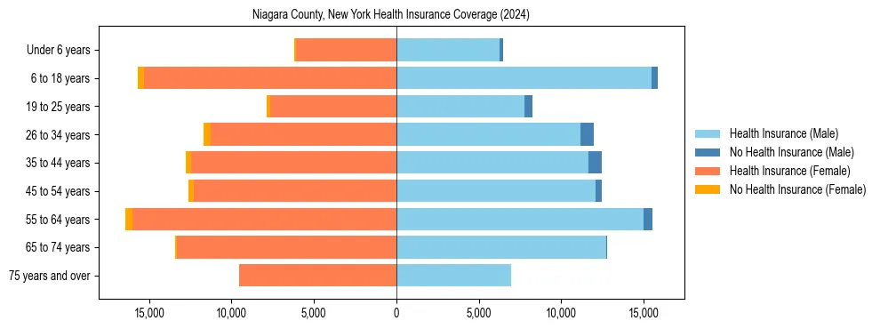 Health insurance pyramid for Niagara County, New York