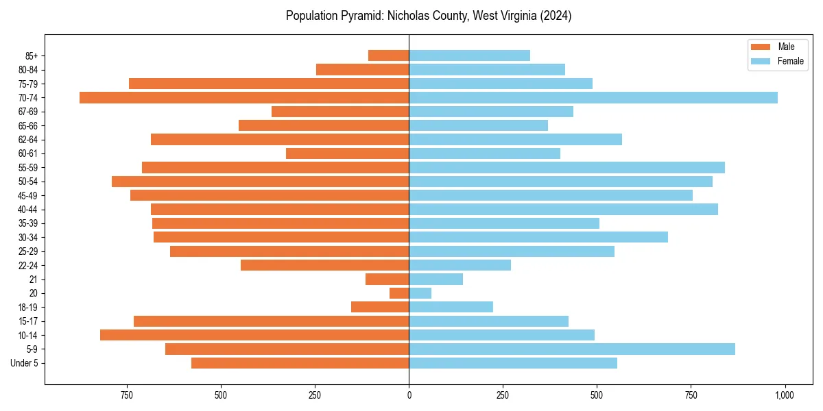 Population pyramid for 