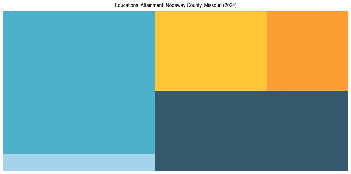 Education Treemap for  in 2024