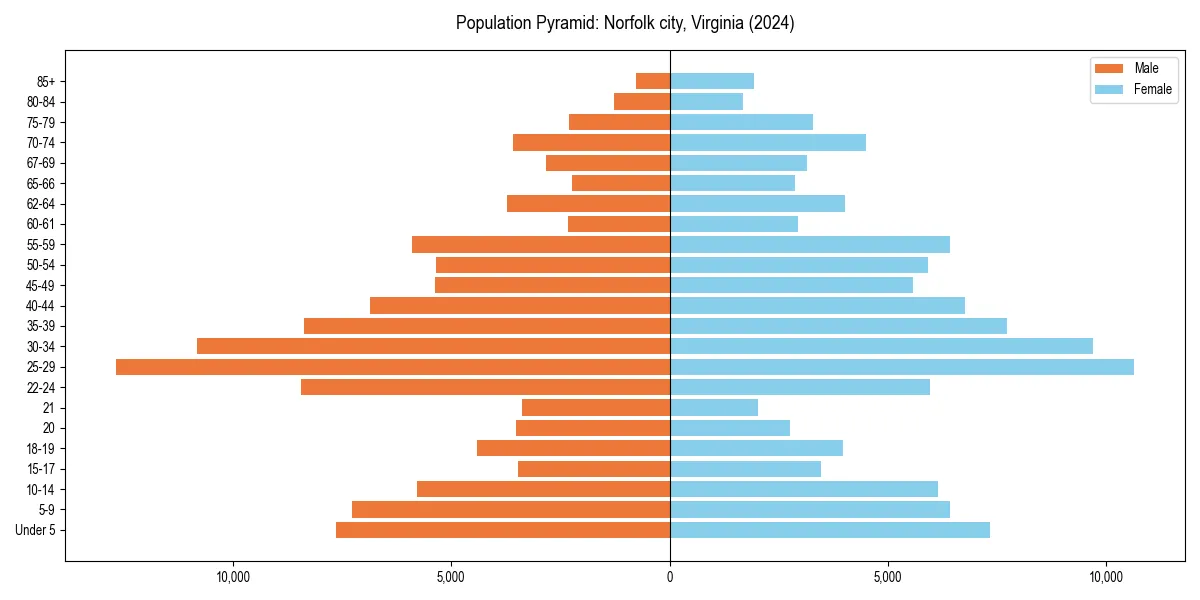 Population pyramid for 