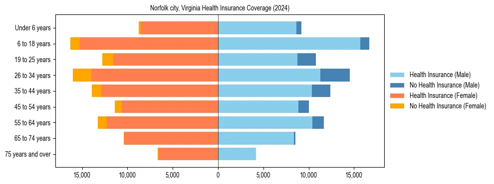 Health insurance pyramid for Norfolk city, Virginia