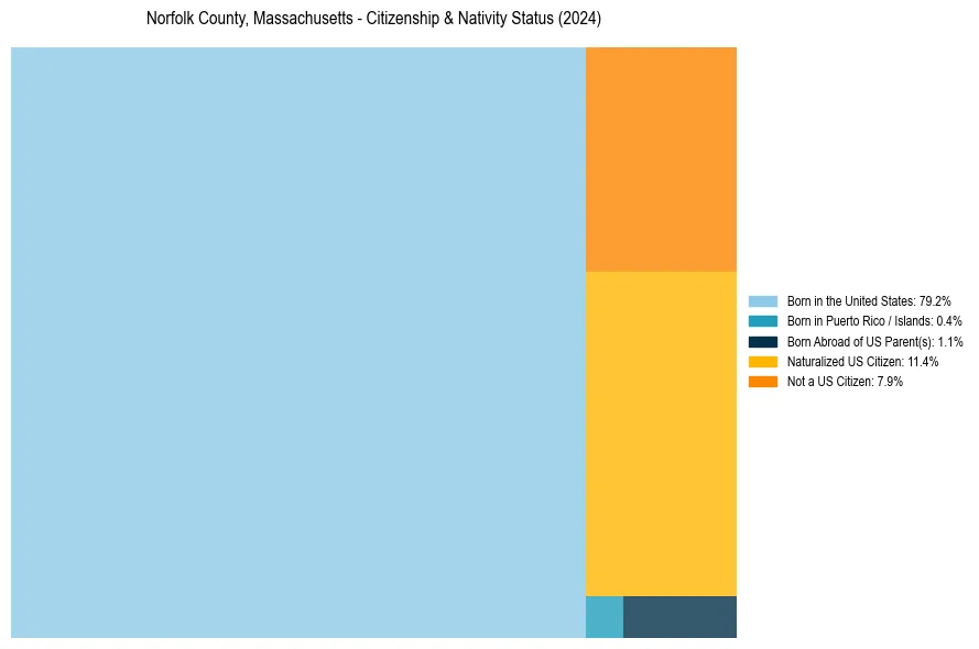 Nativity Treemap for 