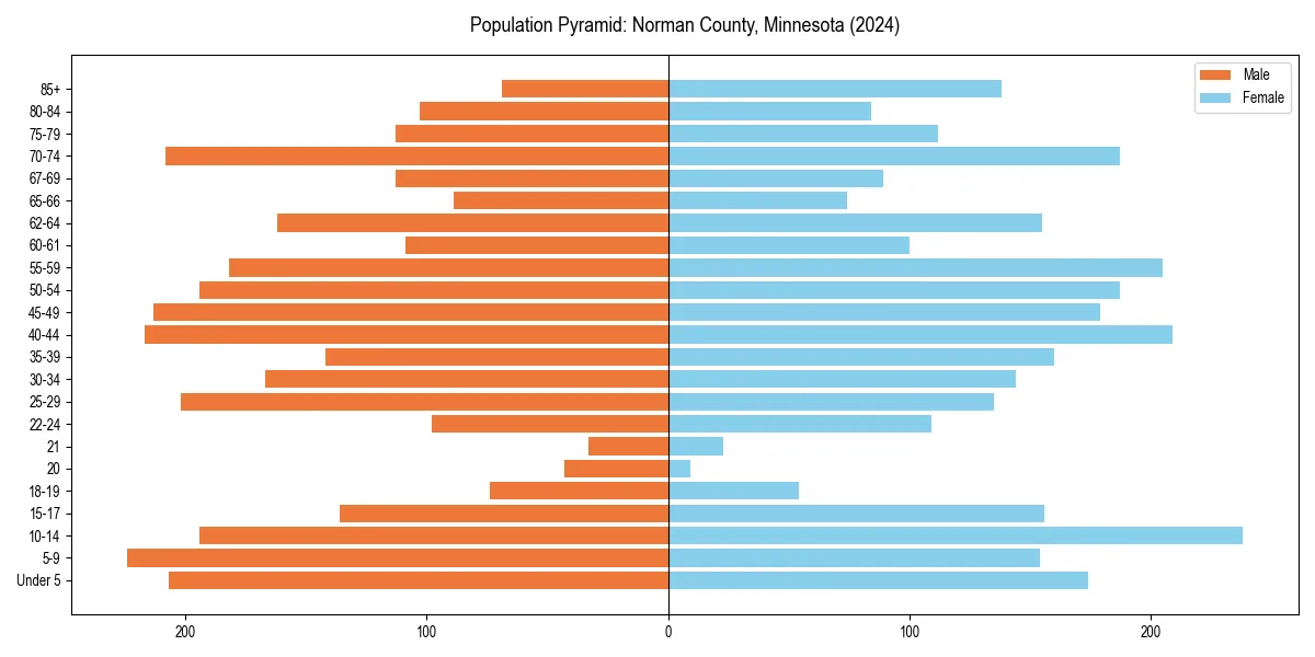 Population pyramid for 