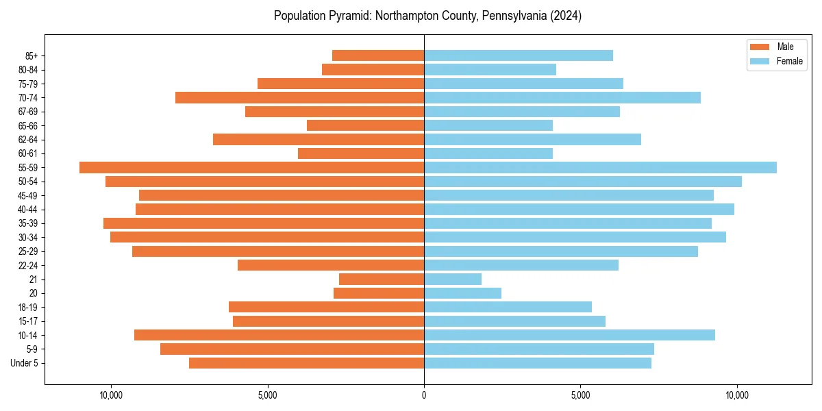 Population pyramid for 