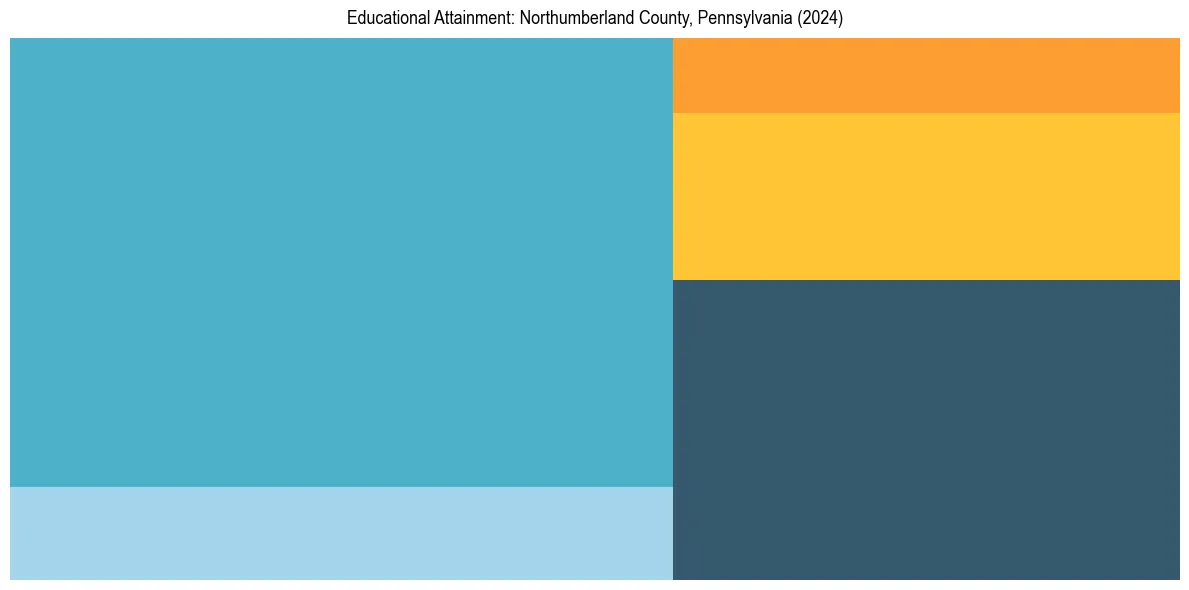 Education Treemap for  in 2024