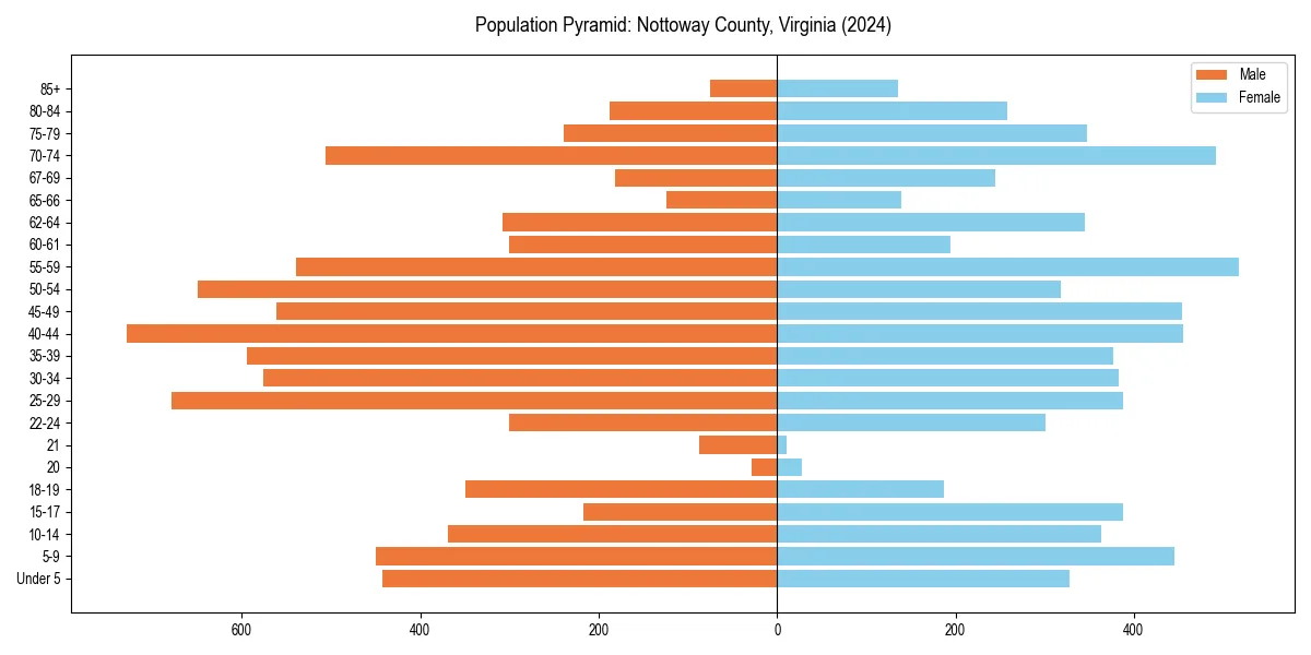Population pyramid for 