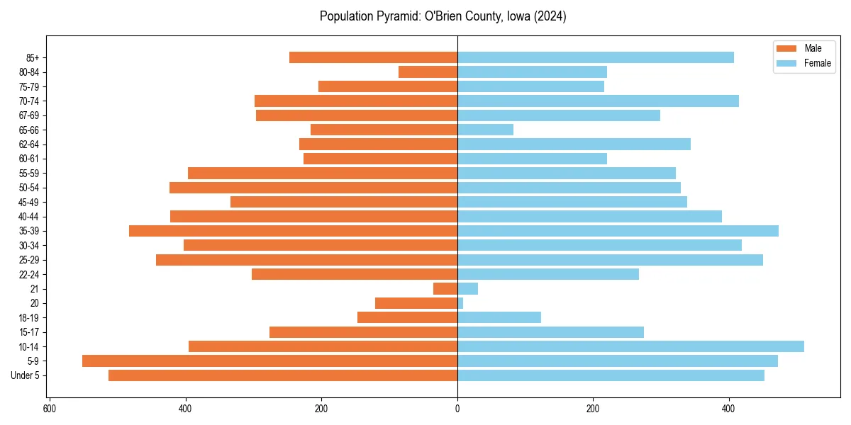 Population pyramid for 