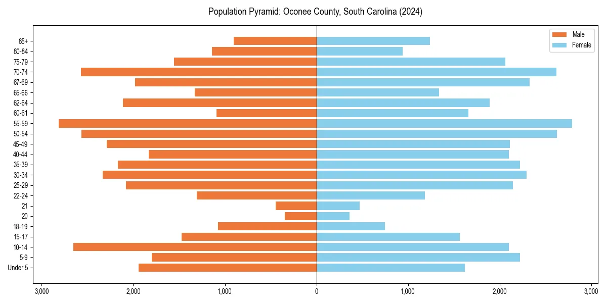 Population pyramid for 