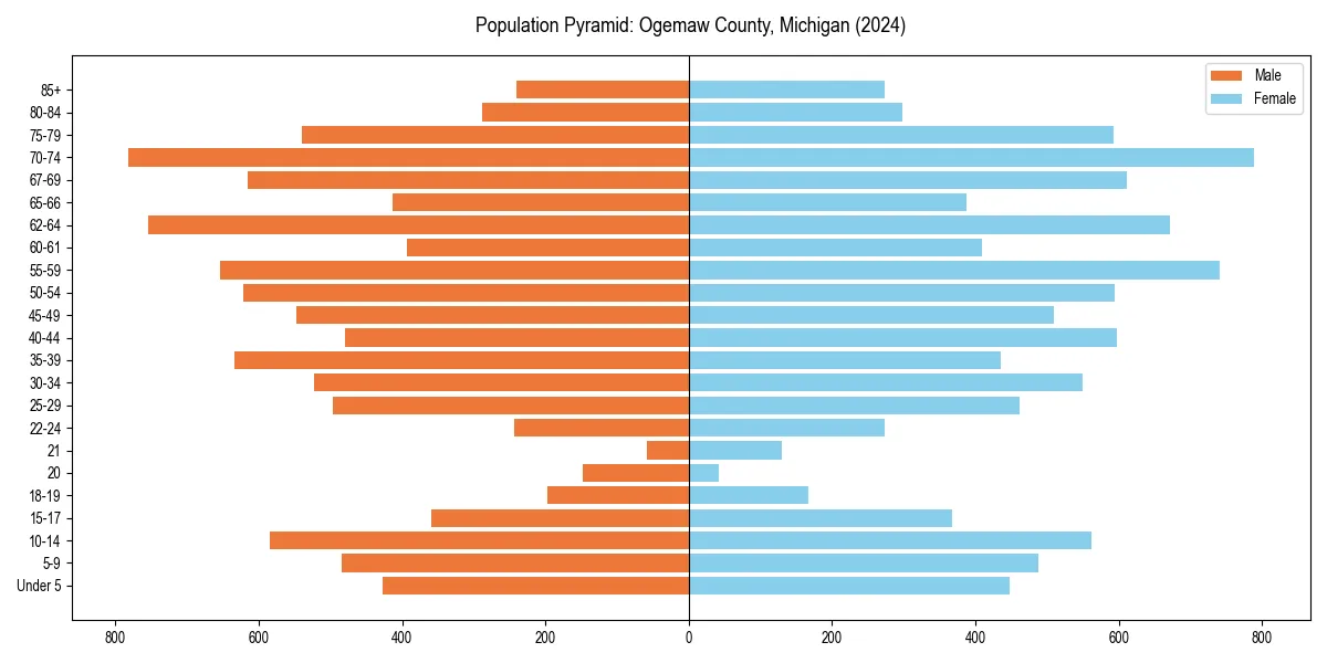Population pyramid for 