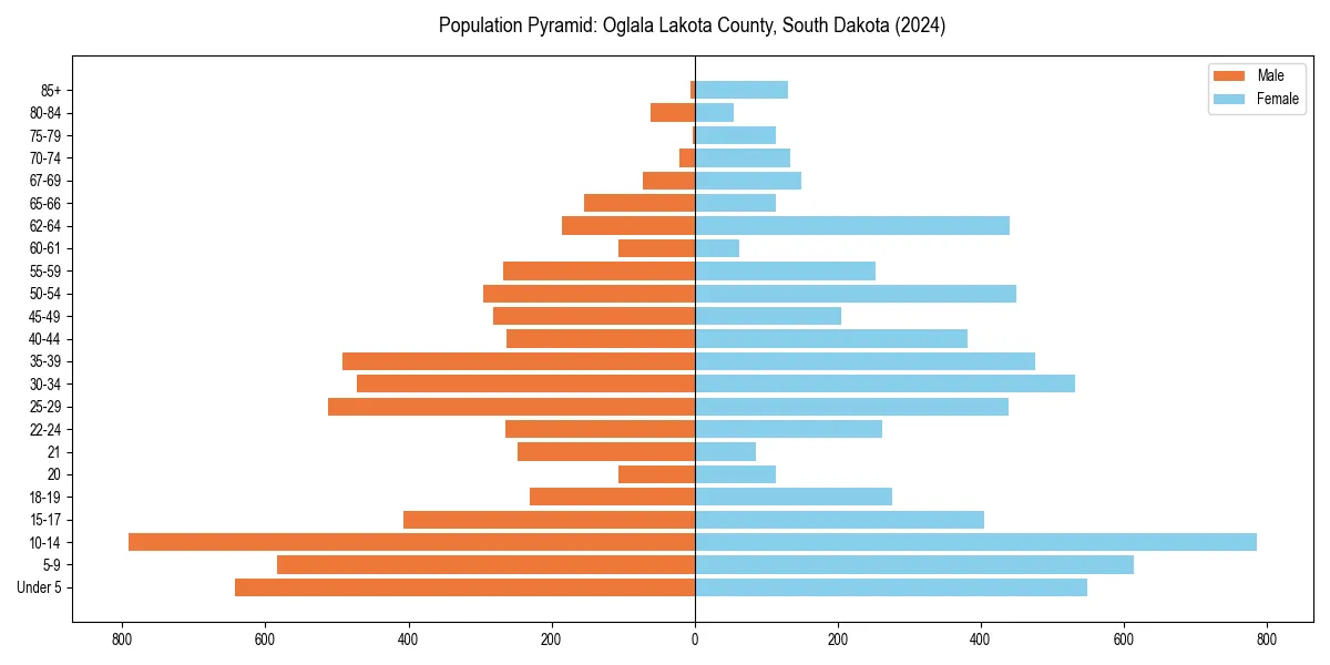 Population pyramid for 