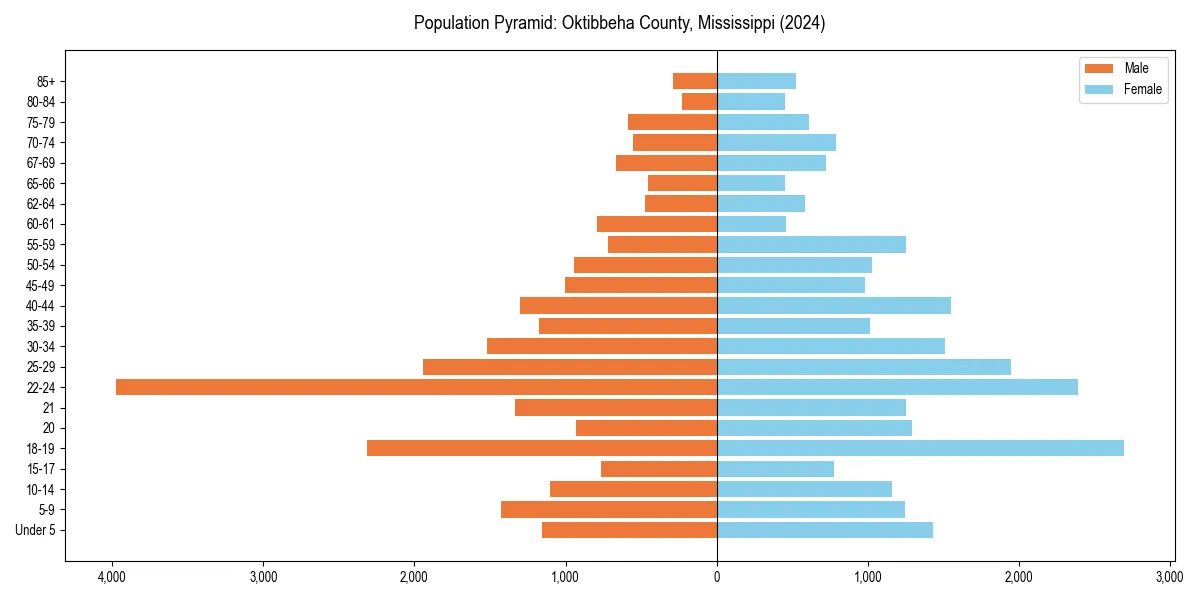 Population pyramid for 