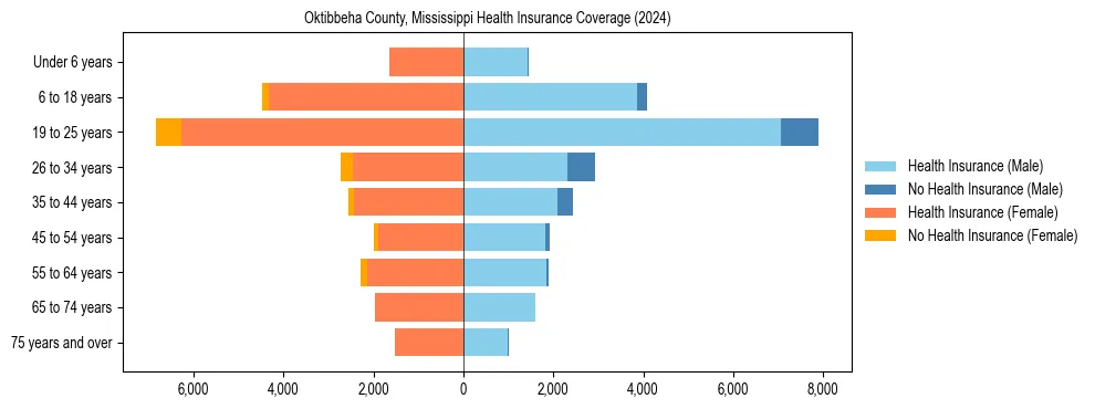 Health insurance pyramid for Oktibbeha County, Mississippi
