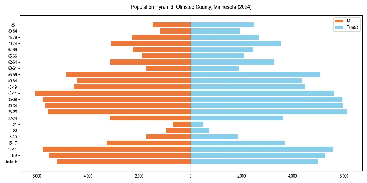 Population pyramid for 