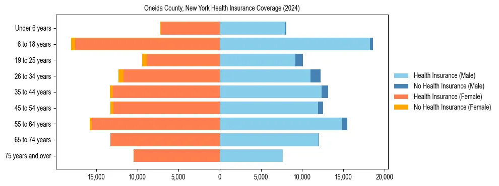 Health insurance pyramid for Oneida County, New York