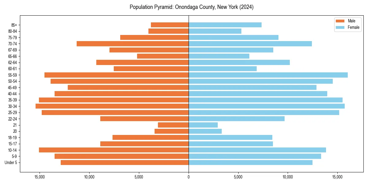 Population pyramid for 