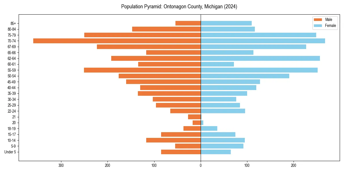 Population pyramid for 
