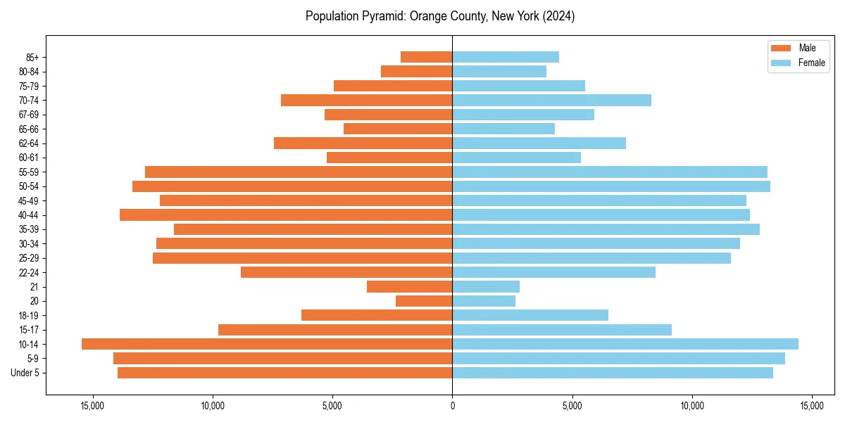 Population pyramid for 