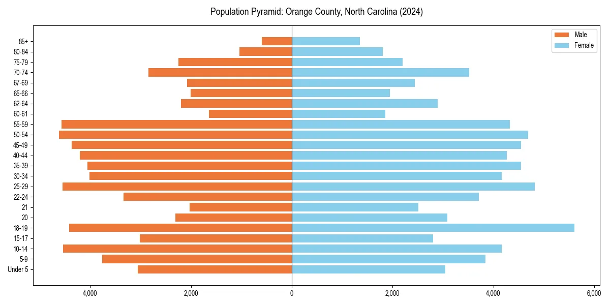 Population pyramid for 