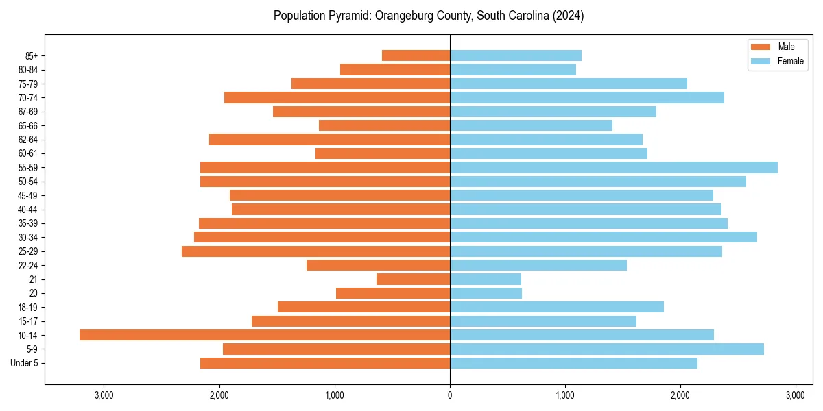 Population pyramid for 