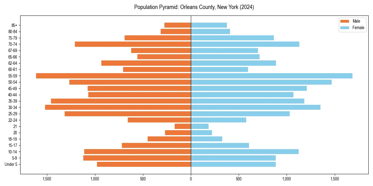 Population pyramid for 