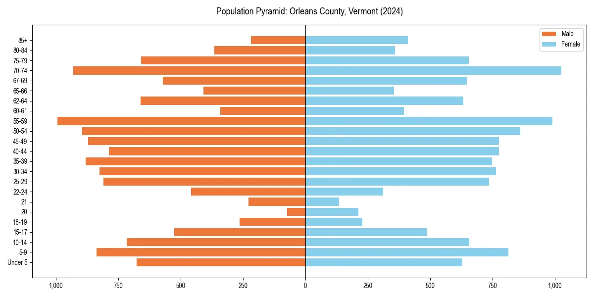 Population pyramid for 