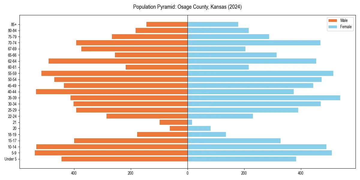 Population pyramid for 
