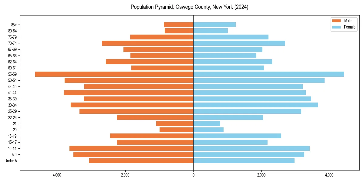 Population pyramid for 