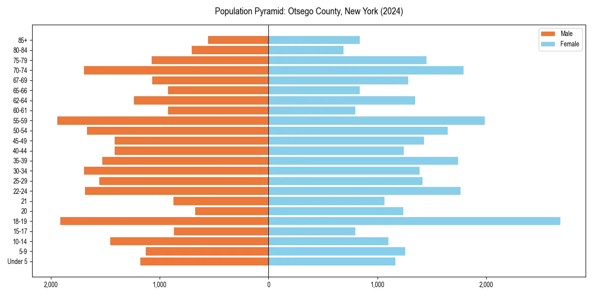 Population pyramid for 