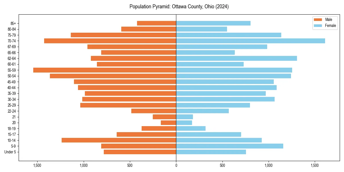 Population pyramid for 