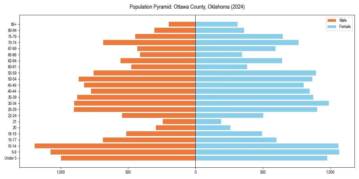 Population pyramid for 