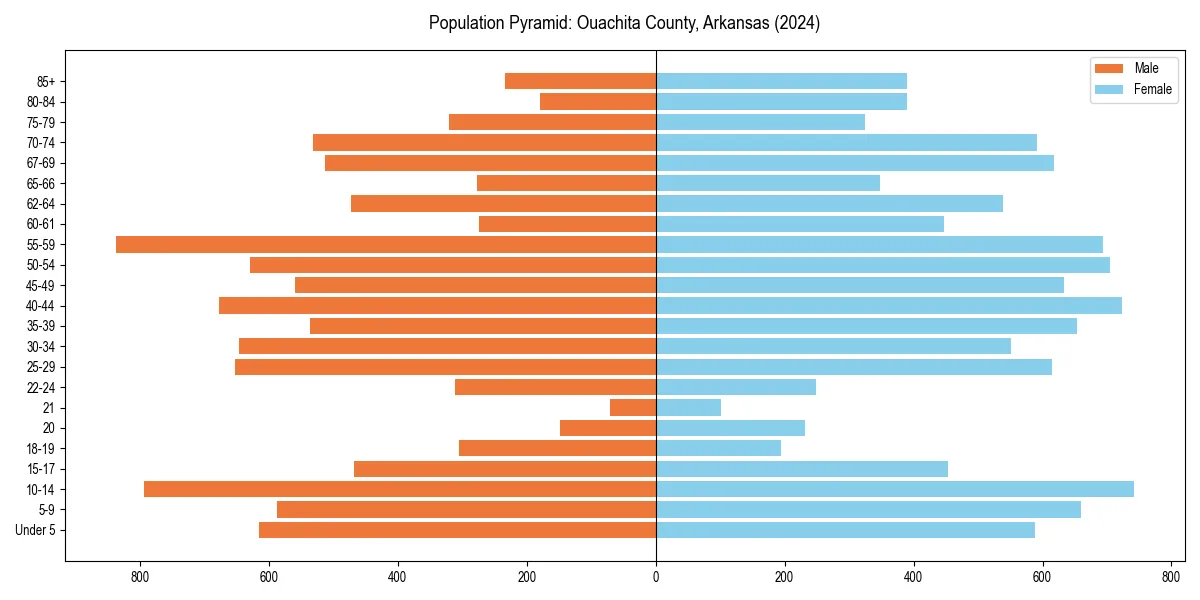 Population pyramid for 