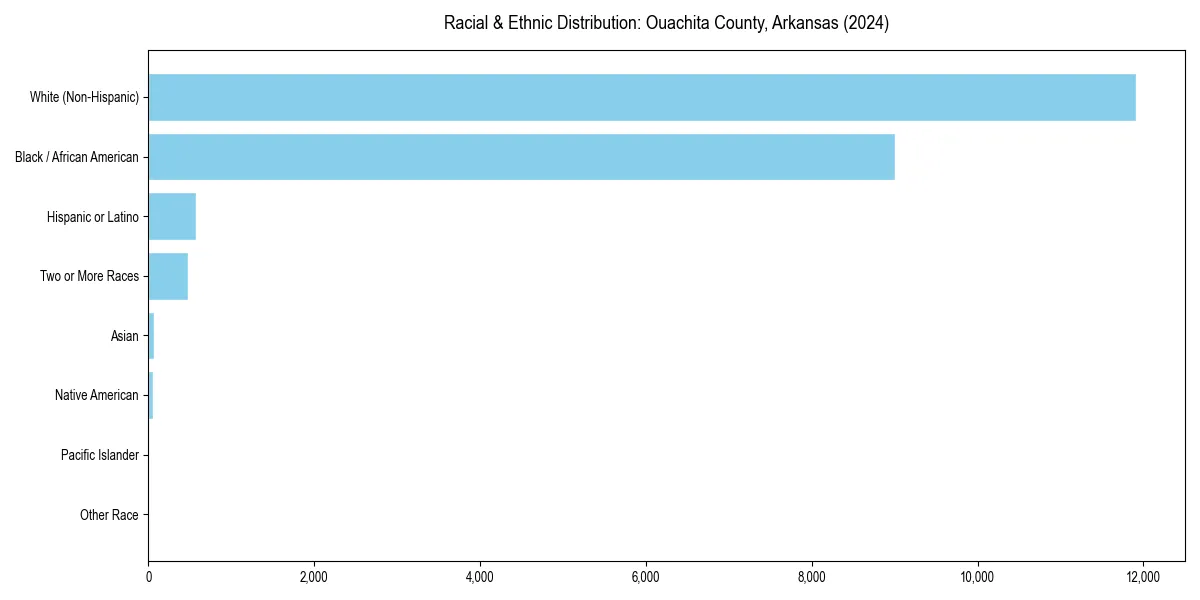 Bar chart showing racial distribution in  for 2024