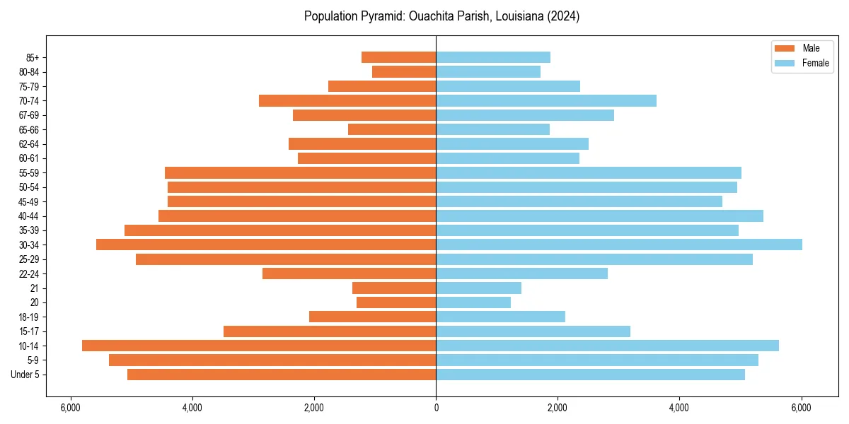 Population pyramid for 