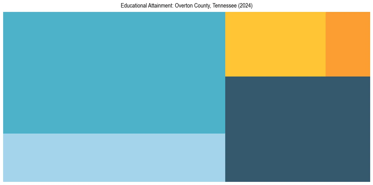 Education Treemap for  in 2024