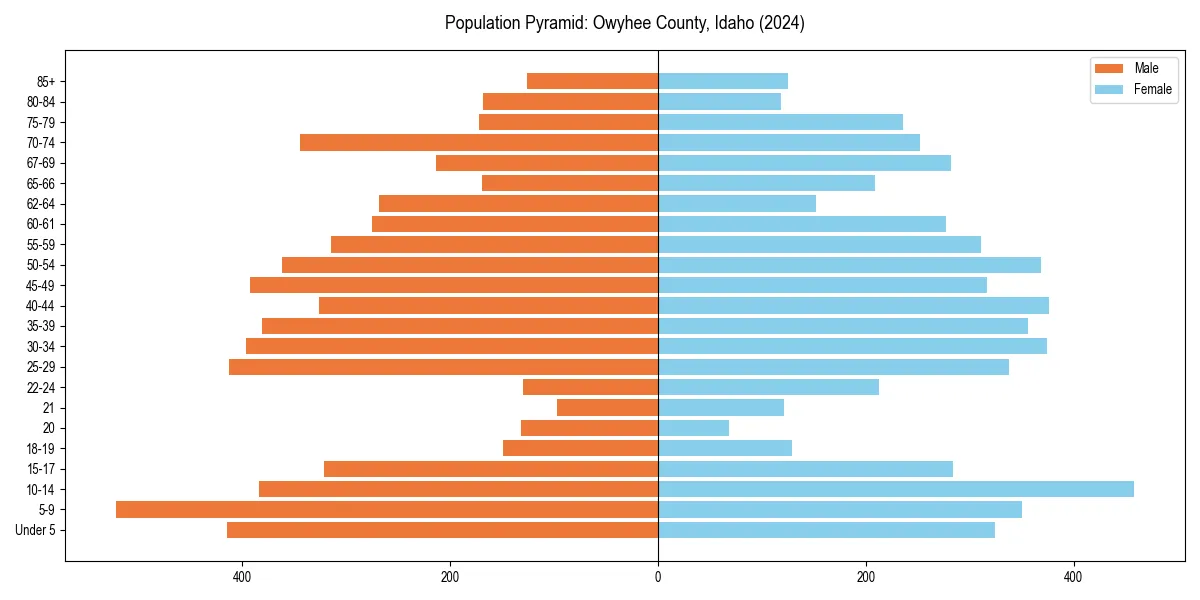 Population pyramid for 