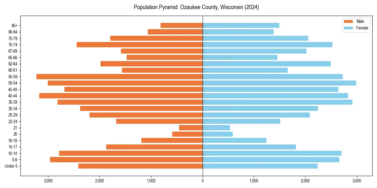 Population pyramid for 