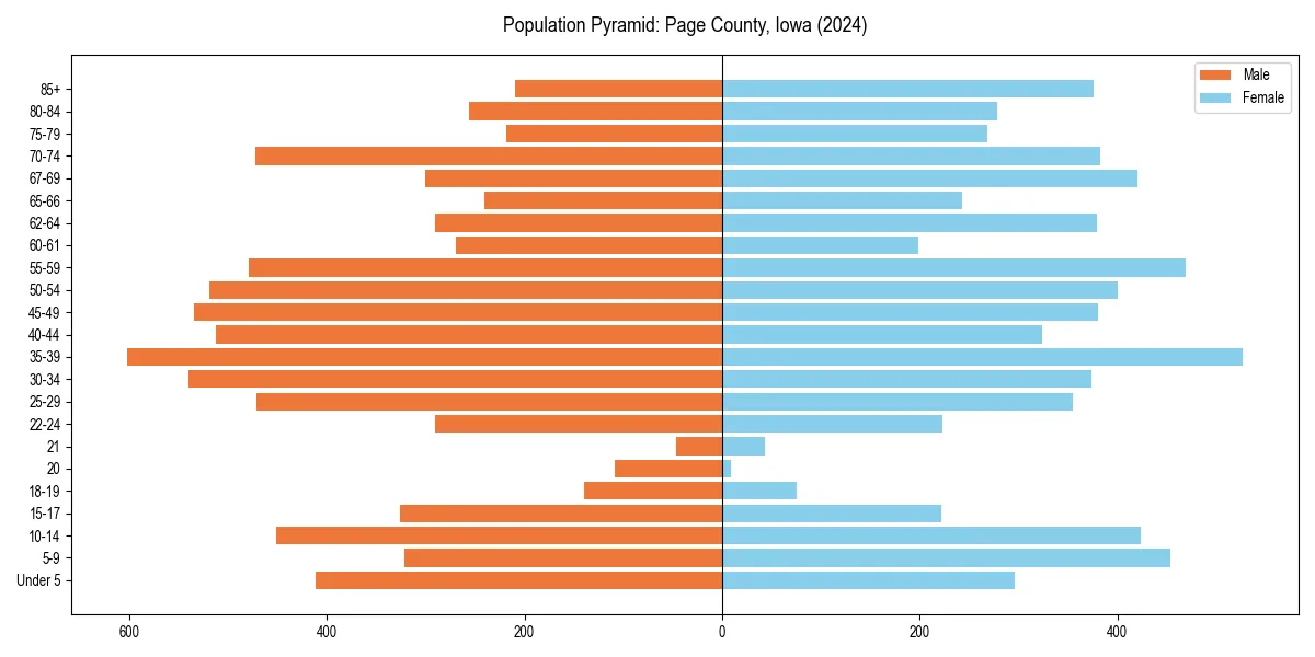 Population pyramid for 