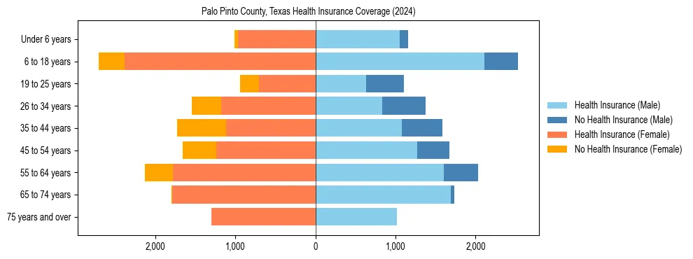 Health insurance pyramid for Palo Pinto County, Texas