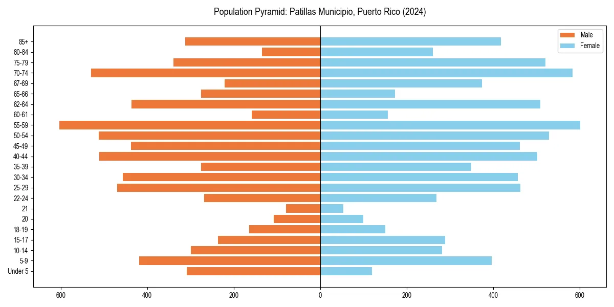 Population pyramid for 