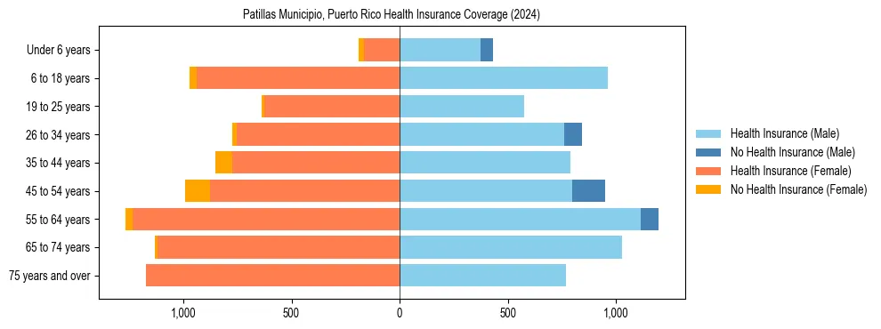 Health insurance pyramid for Patillas Municipio, Puerto Rico