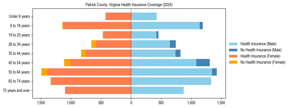 Health insurance pyramid for Patrick County, Virginia