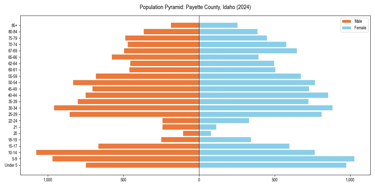 Population pyramid for 
