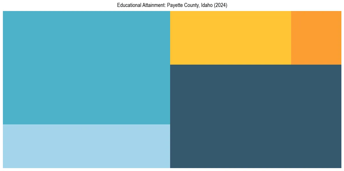 Education Treemap for  in 2024
