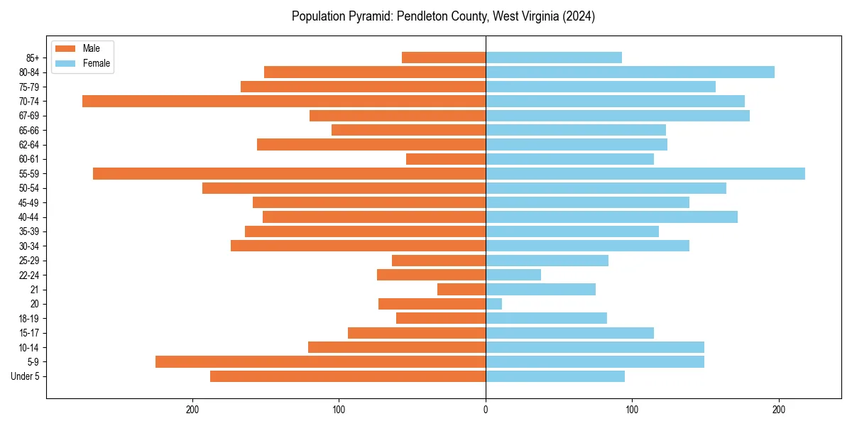 Population pyramid for 