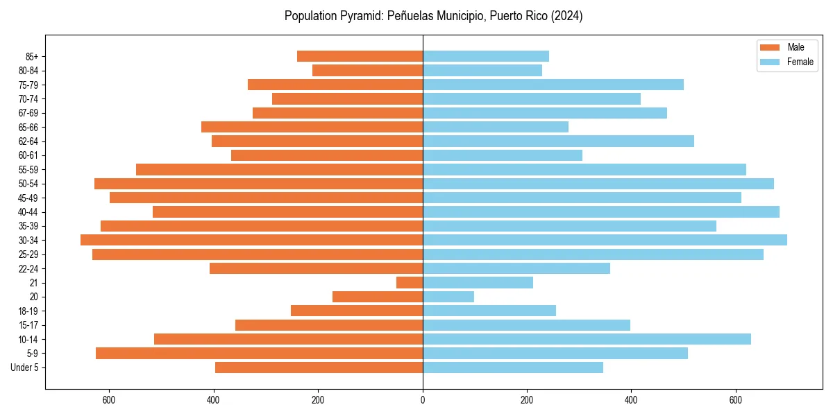 Population pyramid for 
